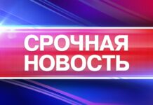 В Приднестровье в четырех районах понедельник объявлен выходных срочная новость, выходной