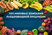 Топ мировых компаний плодоовощной продукции