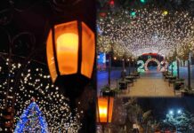 В Приднестровье 26 декабря стартует конкурс на лучшее новогоднее и рождественское оформление конкурс, новогоднее оформление, Рыбница