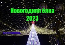 Ёлка на РЦК: красиво и завораживающе елка, РЦК, цементный комбинат