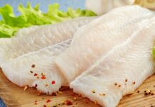 Существует ли рыба без костей