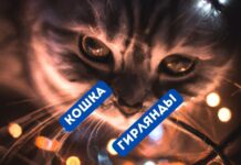 Защитите новогоднюю ёлку от кошек: несложные советы