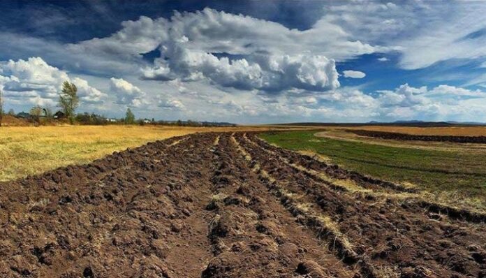 сельское хозяйство, земля