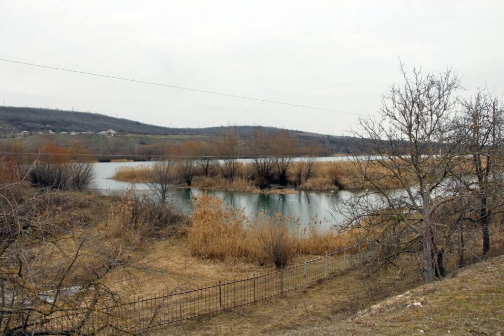 дамбы, Приднестровье, Верховный Совет