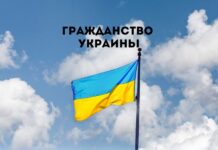 Зеленский предлагает ввести двойное гражданство. Но не для всех