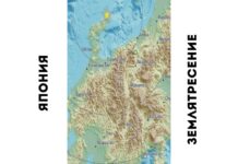 В Японии после серии мощных землетрясений цунами приблизилась к берегу