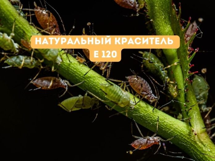Натуральный краситель Е 102