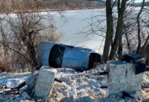 «Сеат» слетел с дороги возле села Гояны