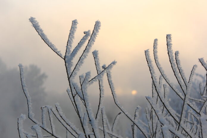 В Приднестровье морозно и туман погода, морозно