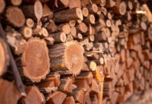 В Приднестровье введена сезонная пошлина на вывоз неколотой топливной древесины дрова, пошлины, ГТК, Правительство, экспорт