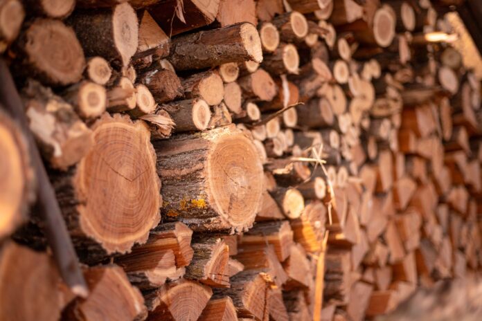 дрова, пошлины, ГТК, Правительство, экспорт