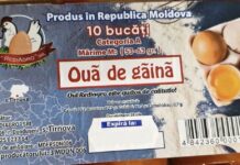 В Молдове обнаружены яйца 🥚 с сальмонеллой