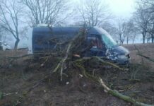 Автодорога Тирасполь – Каменка и «Мерседес»: почему авария?