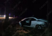 В Приднестровье водитель «Пежо», скрываясь от ГАИ, врезался в дерево ДТП, ГАИ, Дубоссары