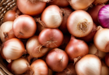 В Молдове гниют сотни тонн лука