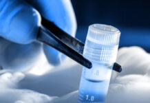 Закон о сохранении репродуктивных клеток ВСУ репродуктивные клетки, Украина, военнослужащие, ВСУ