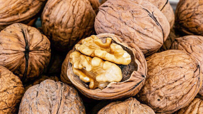 Грецкие орехи: экспорт грецкие орехи, экспорт, таможня, Приднестровье