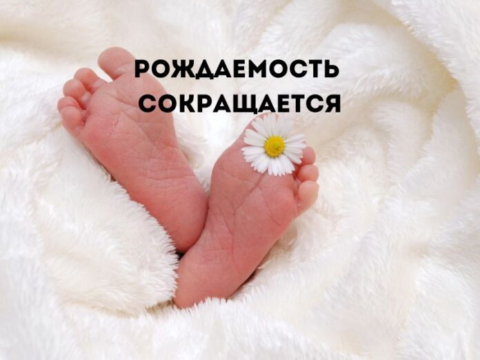 рождаемость,