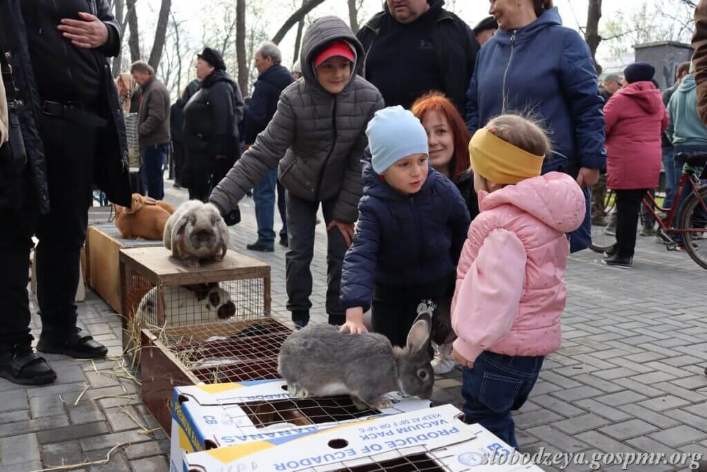 выставка-ярмарка, Чобручи