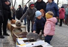Выставка-ярмарка домашних птиц и животных пройдет в Чобручах выставка-ярмарка, Чобручи