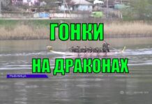 В Рыбнице прошли заезды на драгонботах драгонботы, показательные выступления Рыбница, Набережная