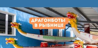 Драгонботы для города: подарок от ММЗ драгонботы, гребля, гребная база, ММЗ