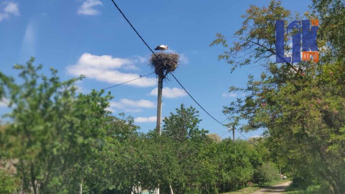 погода, без осадков, тепло, жарко