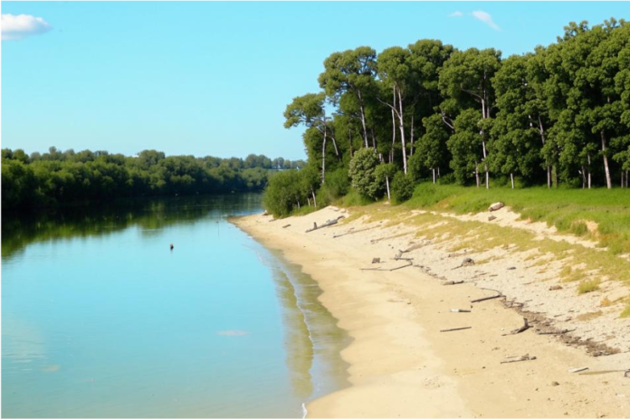 Пляж, пляжный сезон. Фото ИИ kandinsky