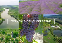 Экологический туризм в Приднестровье: план развития и перспективы туризм, правительство, экология