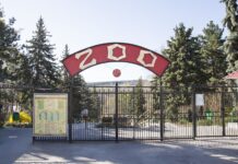 Бесплатный вход для детей в Кишиневский зоопарк 1 июня