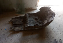 В Днестре у Дубоссар обнаружили фрагмент древней лодки лодка, находка, Дубоссары