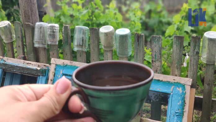 прогноз погоды, погода, без осадков, жарко