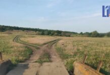 Погода 28 июня 2024 года в Приднестровье погода, дорога, село