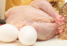 В Дубоссарах планируют нарастить производство мяса птицы и яиц мясо птицы, яйца, продукты