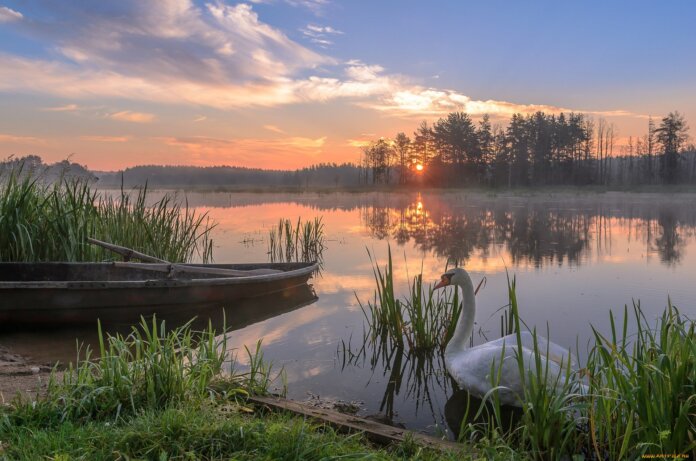 погода, туман