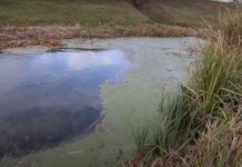 Остановите загрязнение речных вод загрязнение рек, экология, заиливание, Днестр, Рэут