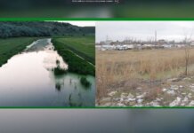 Река Рэут — национальный источник загрязнения река Реут, загрязнение