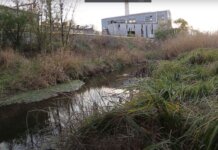 Воздействие отвода сточных вод сточные воды, экология, река Реут
