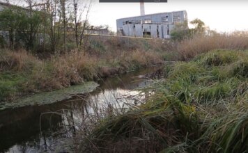 Воздействие отвода сточных вод сточные воды, экология, река Реут