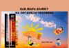 Влияние жары на организм человека: опасности температур выше 40 градусов
