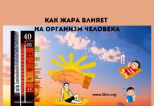 Влияние жары на организм человека: опасности температур выше 40 градусов