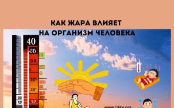 Влияние жары на организм человека: опасности температур выше 40 градусов