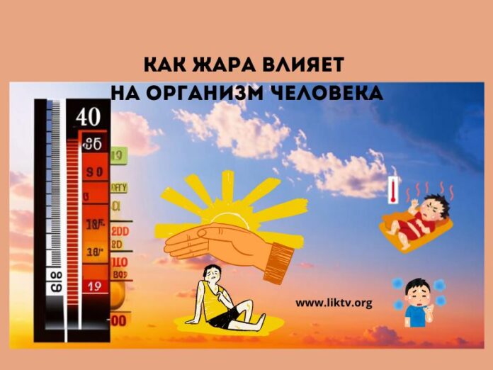 Как жара влияет на организм человека