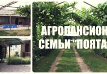 Агропансион семьи “Поята”: отдых, где природа встречается с уютом туризм, агропансион семьи "Поята"