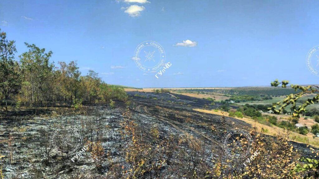 пожар, Рыбницкий район