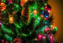 Можно ли вернуть живую ёлку продавцу в течение 14 дней?