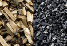 В Приднестровье продолжается формирование резерва твёрдого топлива возобновляемые источники уголь, ситуация с газом