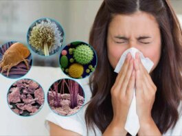 Климат меняется — и вместе с ним болезни. Готовы ли мы? аллергия, климат, заболевание