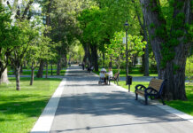 В Молдове определили тройку самых зелёных городов