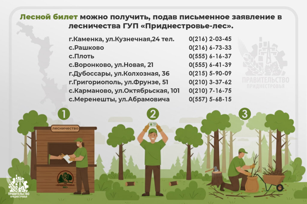 Госслужба экологического контроля, валежник, дрова